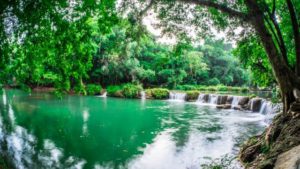 Waterfall National Park